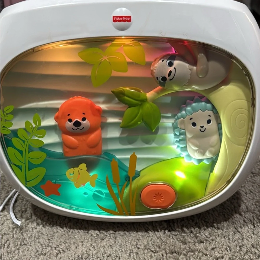 Fisher-Price Animal Friends Soother with Orange and Green - Picture 1 of 1